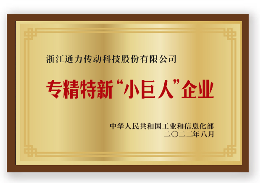 專精特新'小巨人'企業(yè)